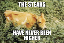 the-steaks-have-1cb44bb769.png